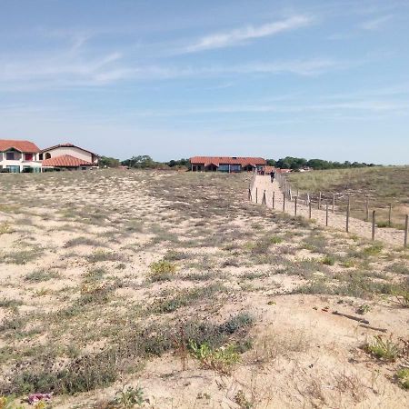 Appartement Capbreton Face A L'Ocean Sans Vis A Vis, Avec Piscine Eksteriør billede