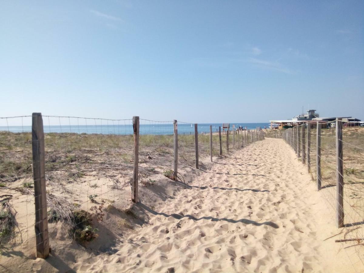 Appartement Capbreton Face A L'Ocean Sans Vis A Vis, Avec Piscine Eksteriør billede