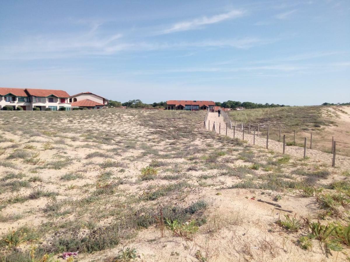 Appartement Capbreton Face A L'Ocean Sans Vis A Vis, Avec Piscine Eksteriør billede