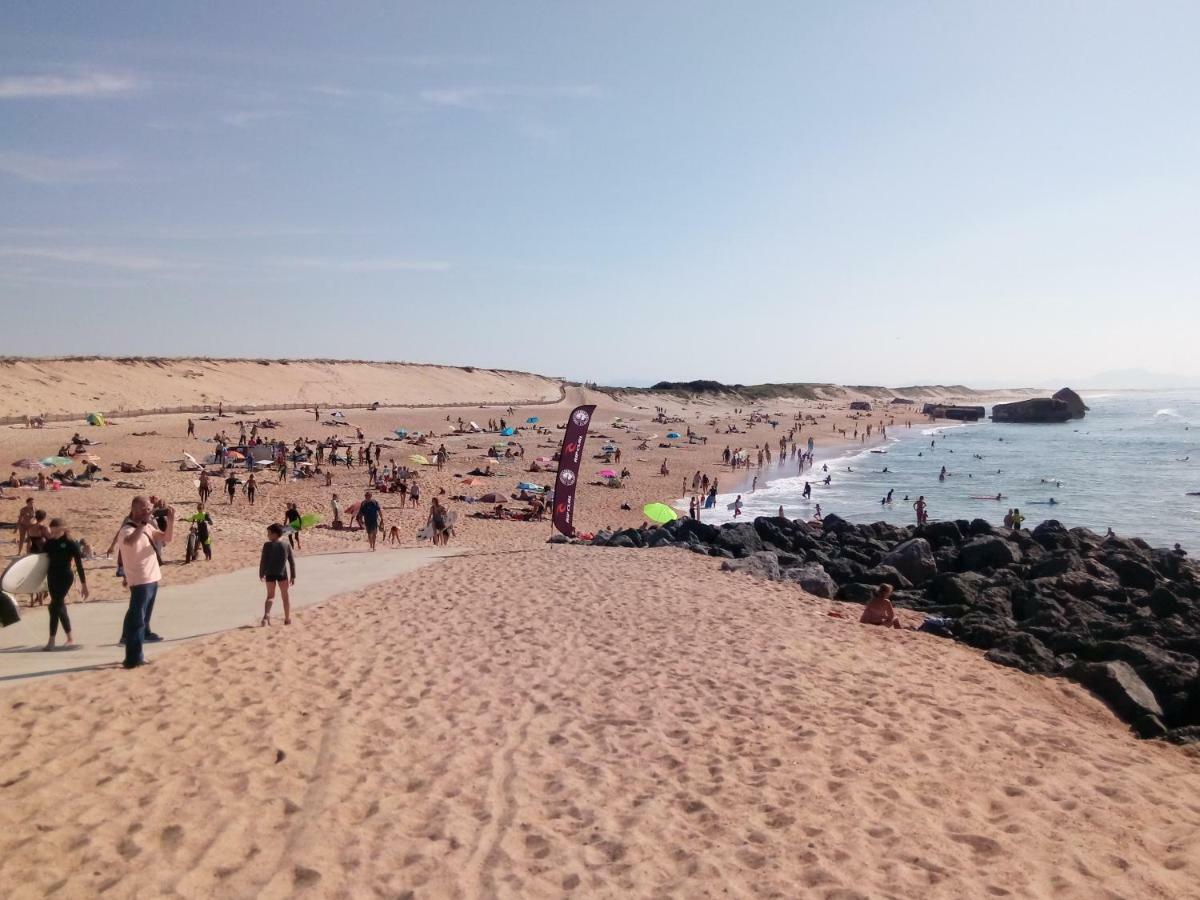 Appartement Capbreton Face A L'Ocean Sans Vis A Vis, Avec Piscine Eksteriør billede