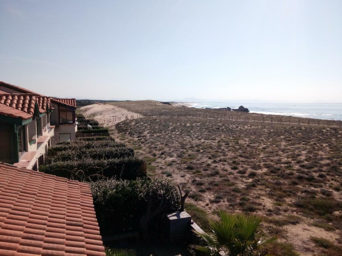 Appartement Capbreton Face A L'Ocean Sans Vis A Vis, Avec Piscine Eksteriør billede